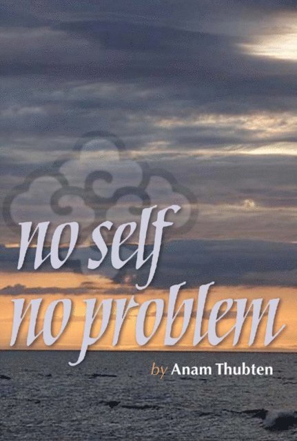 Anam Thubten - No Self, No Problem, E-bok