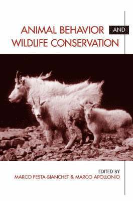 Marco Festa-Bianchet, Marco Apollonio, Marco Apollonio, Marco Festa-Bianchet - Animal Behavior and Wildlife Conservation, Inbunden. Tillgänglighet: Tillfälligt slut