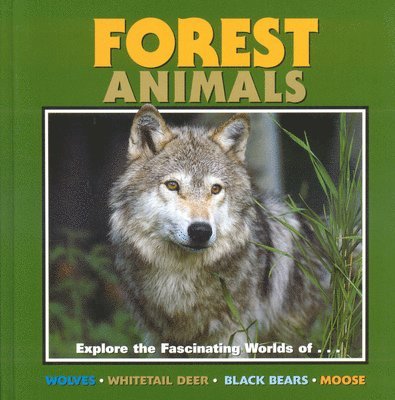 Forest Animals