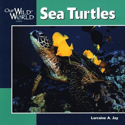 Lorraine A. Jay - Sea Turtles, Häftad. Tillgänglighet: Tillfälligt slut