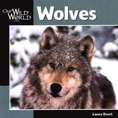 Laura Evert - Wolves, Häftad. Tillgänglighet: Tillfälligt slut