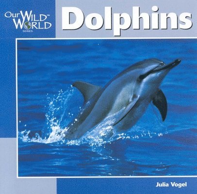 Julia Vogel - Dolphins, Häftad. Tillgänglighet: Tillfälligt slut