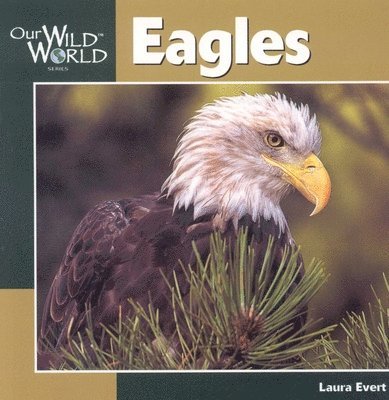 Laura Evert - Eagles, Häftad. Tillgänglighet: Tillfälligt slut