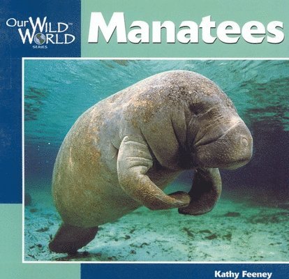 Manatees