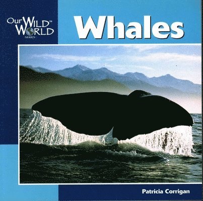 Patricia Corrigan - Whales, Häftad. Tillgänglighet: Tillfälligt slut