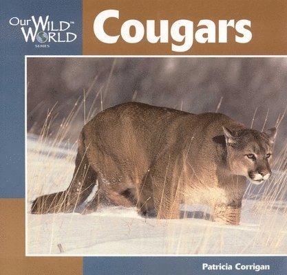 Patricia Corrigan - Cougars, Häftad. Tillgänglighet: Tillfälligt slut