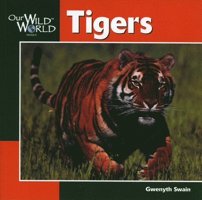 Gwenyth Swain - Tigers, Häftad. Tillgänglighet: Tillfälligt slut