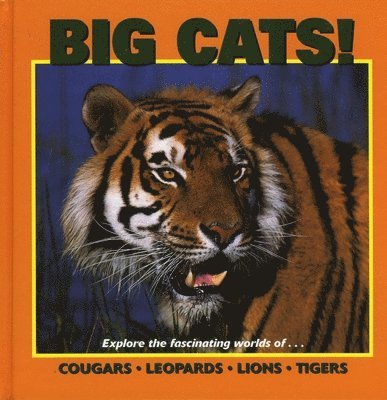Big Cats