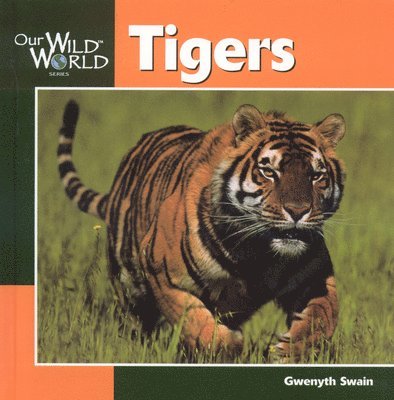 Gwenyth Swain - Tigers, Inbunden. Tillgänglighet: Tillfälligt slut