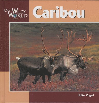 Julia Vogel - Caribou, Häftad. Tillgänglighet: Tillfälligt slut