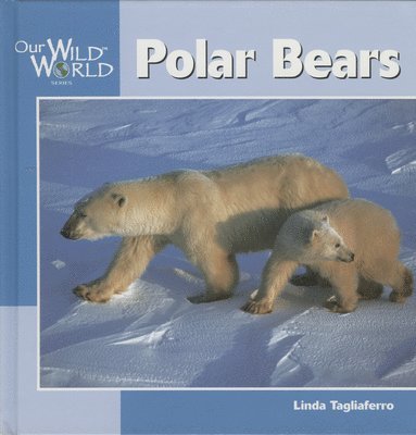 Linda Tagliaferro - Polar Bears, Inbunden. Tillgänglighet: Tillfälligt slut