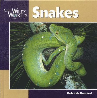Deborah Dennard - Snakes, Inbunden. Tillgänglighet: Tillfälligt slut