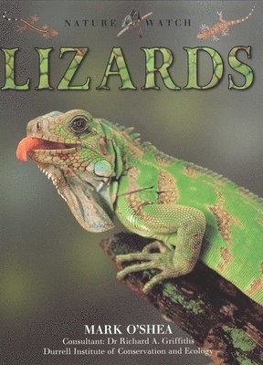 Deborah Dennard - Lizards, Häftad. Tillgänglighet: Tillfälligt slut