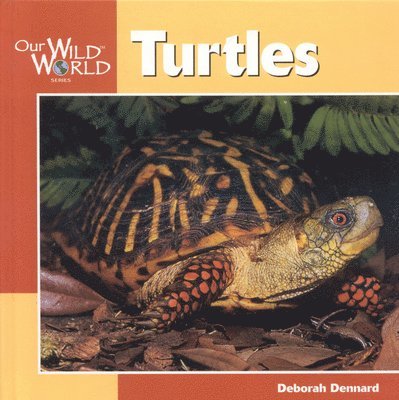 Deborah Dennard - Turtles, Inbunden. Tillgänglighet: Tillfälligt slut