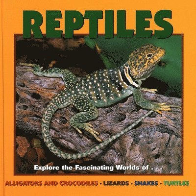 Deborah Dennard - Reptiles, Inbunden. Tillgänglighet: Tillfälligt slut