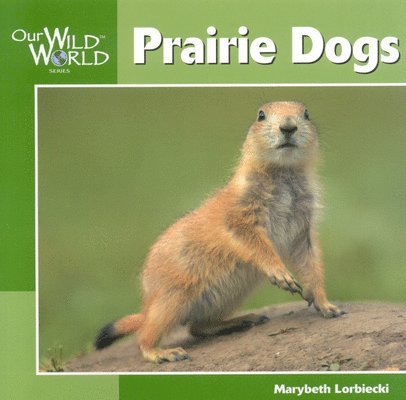 Marybeth Lorbiecki - Prairie Dogs, Inbunden. Tillgänglighet: Tillfälligt slut