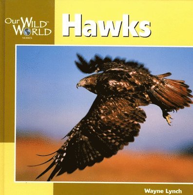 Wayne Lynch - Hawks, Inbunden. Tillgänglighet: Tillfälligt slut