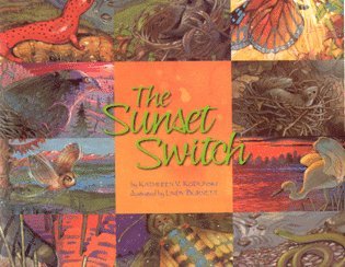 Sunset Switch