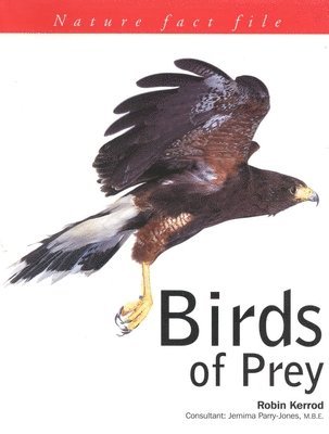Wayne Lynch, Laura Evert - Birds of Prey, Inbunden. Tillgänglighet: Tillfälligt slut