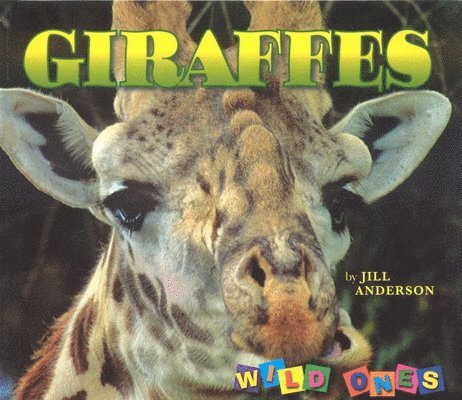 Jill Anderson - Giraffes, Häftad. Tillgänglighet: Tillfälligt slut