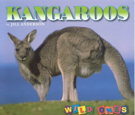Jill Anderson - Kangaroos, Häftad. Tillgänglighet: Tillfälligt slut