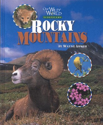 Wayne Lynch - Rocky Mountains, Häftad. Tillgänglighet: Tillfälligt slut