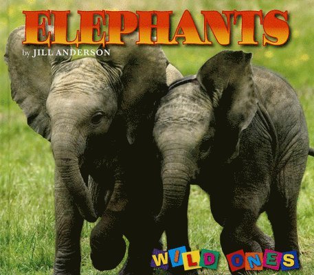 Jill Anderson - Elephants, Inbunden. Tillgänglighet: Tillfälligt slut