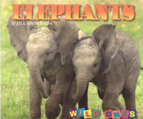 Jill Anderson - Elephants, Häftad. Tillgänglighet: Tillfälligt slut