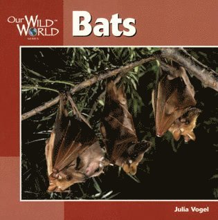 Bats