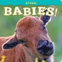 Bison Babies!, Kartonnage. Tillgänglighet: Lägg i varukorg