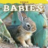 Steph Lehmann - Texas Babies!, Inbunden. Tillgänglighet: Lägg i varukorg