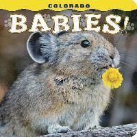 Steph Lemann - Colorado Babies!, Kartonnage
