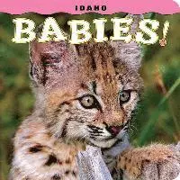 Steph Lehmann - Idaho Babies!, Inbunden. Tillgänglighet: Tillfälligt slut