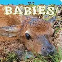 Steph Lehmann - Elk Babies!, Kartonnage. Tillgänglighet: Lägg i varukorg