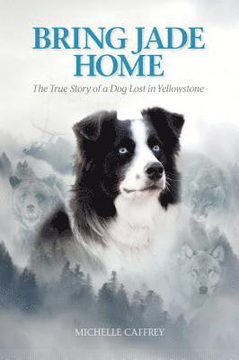 Michelle Caffrey - Bring Jade Home: The True Story of a Dog Lost in Yellowstone, Häftad
