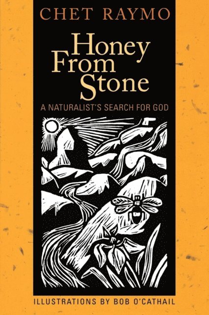 Chet Raymo - Honey from Stone, E-bok