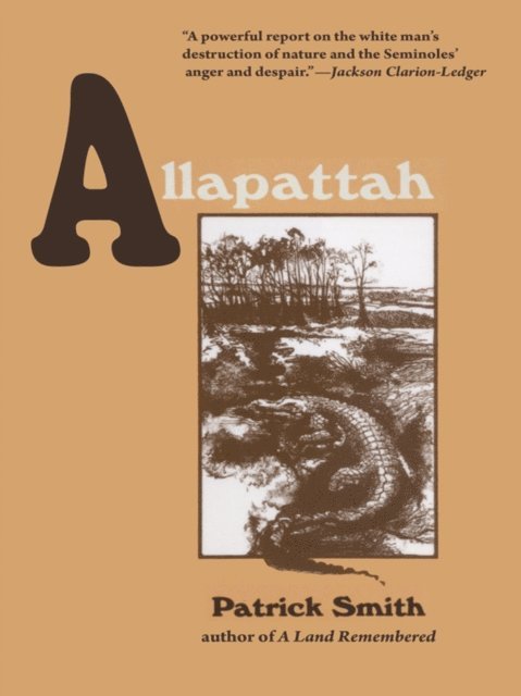 Patrick D Smith - Allapattah, E-bok