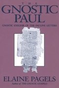 The Gnostic Paul
