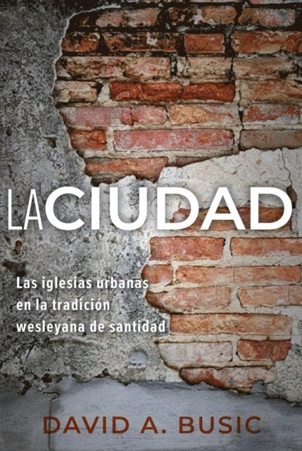 David A. Busic - La Ciudad, E-bok