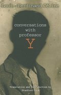 Conversations with Professor Y