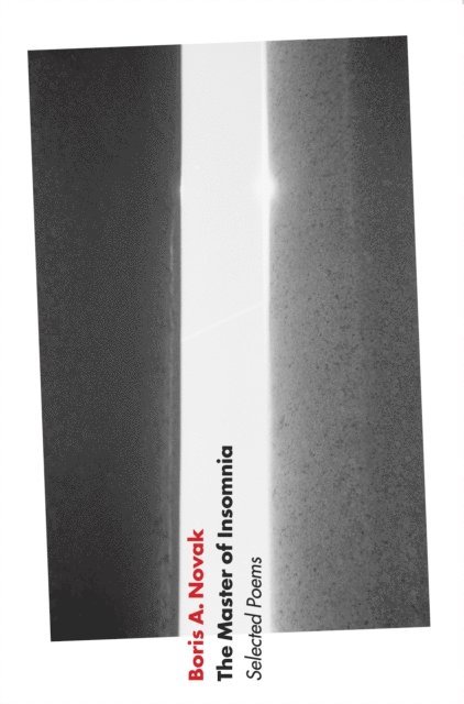 Boris A. Novak - Master of Insomnia, E-bok