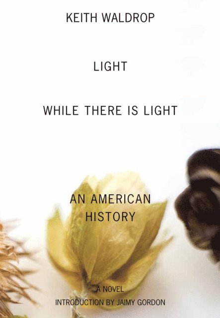 Keith Waldrop - Light While There Is Light, E-bok