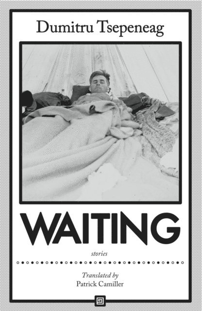 Dumitru Tsepeneag - Waiting: stories, E-bok