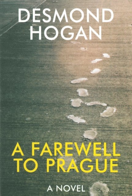 Desmond Hogan - Farewell to Prague, E-bok
