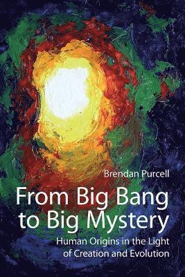 Brendan Purcell - From Big Bang to Big Mystery, Häftad. Tillgänglighet: Lägg i varukorg