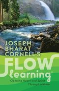 Flow Learning