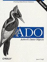 Jason T. Roff - ADO: ActiveX Data Objects, Övrigt