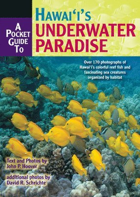 J.P. Hoover - Pocket Guide to Hawaii's Underwater Paradise, Häftad