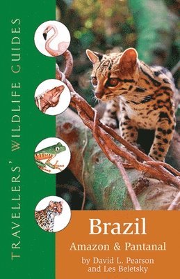 David L. Pearson, Les Beletsky - Brazil, Häftad