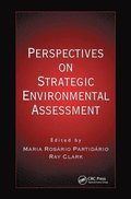 Perspectives on Strategic Environmental Assessment